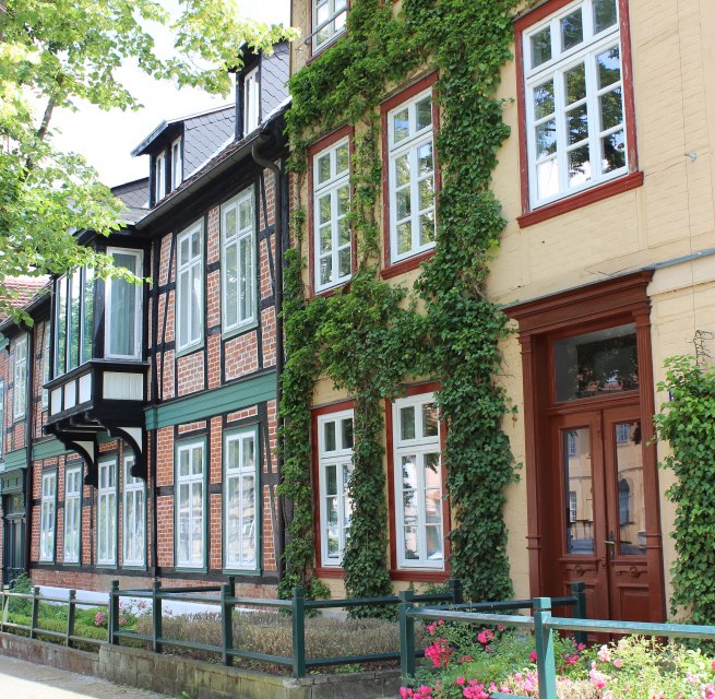 &copy; Kristin Damaschke