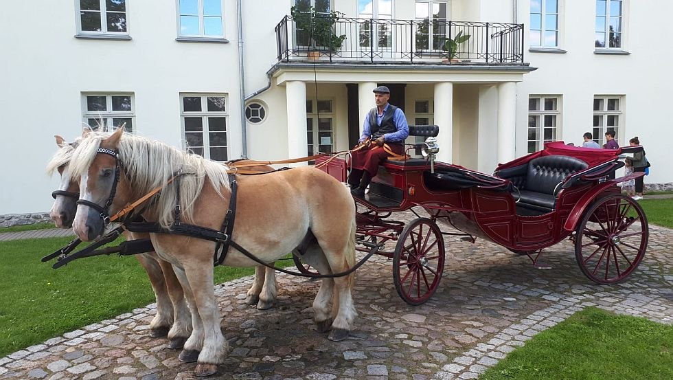 Egal ob Kindergeburtstag, Betriebsausflug, Gruppenreise, Junggesellabschied - die Mecklenbuger Kutsch- und Kremserfahrten fahren Sie! // &copy; Mecklenburger Kutsch- und Kremserfahrten/ Axel Peters
