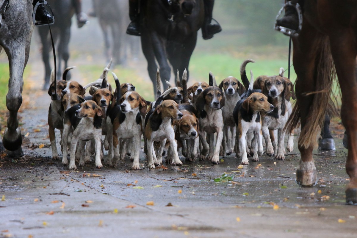 &copy; Sven Strau&szlig;