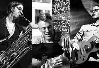 Alligator Grooves, © Alligator Grooves Alligator Grooves, © Alligator Grooves