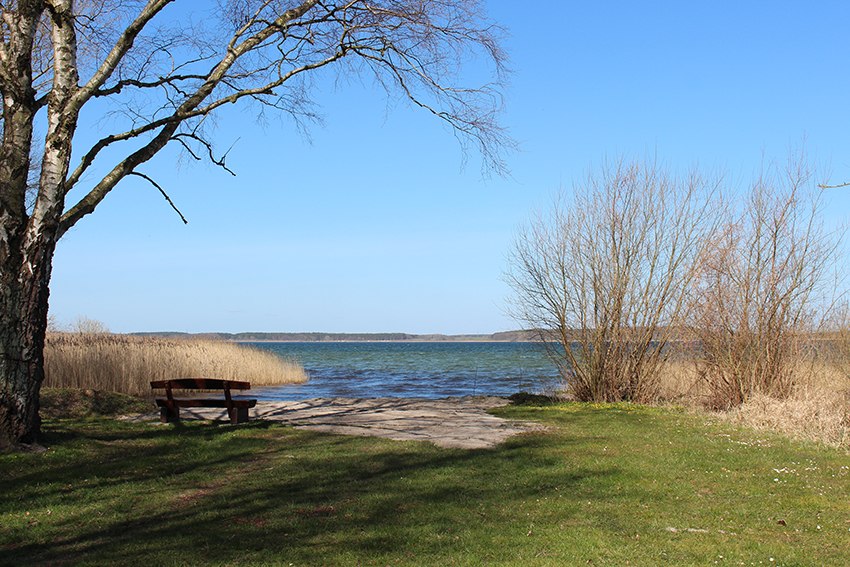 Keine Leinenpflicht - Hundestrand Untergöhren, © Kur- und Tourismus GmbH Göhren-Lebbin Keine Leinenpflicht - Hundestrand Untergöhren, © Kur- und Tourismus GmbH Göhren-Lebbin