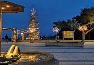 © IMG_20211126_163027.jpg