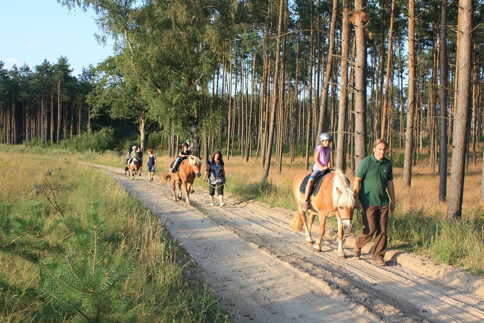 Ruhige oder schnelle Ausritte sind auf unseren hauseigenen Strecken das Highlight eines jeden Urlaubs. // © Waldhof Bruchmühle Ruhige oder schnelle Ausritte sind auf unseren hauseigenen Strecken das Highlight eines jeden Urlaubs. // © Waldhof Bruchmühle