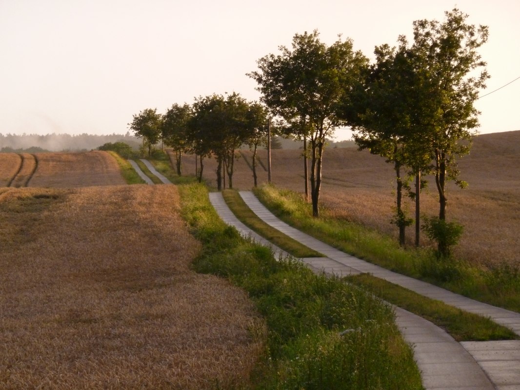 Mecklenburgische Schweiz: Weg in abendlicher Sonne // © Gutshaus Pohnstorf GbR Mecklenburgische Schweiz: Weg in abendlicher Sonne // © Gutshaus Pohnstorf GbR