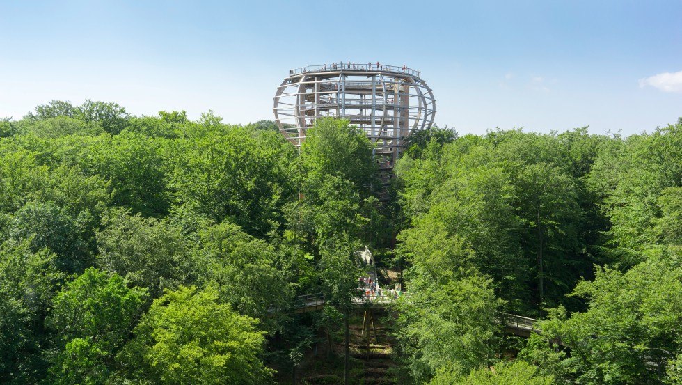 Der Baumwipfelpfad mit dem Aussichtsturm &bdquo;Adlerhorst&ldquo; liegt inmitten eines Buchenwaldes in Prora auf der Insel R&uuml;gen. // &copy; Erlebnis Akademie AG / Naturerbe Zentrum R&uuml;gen