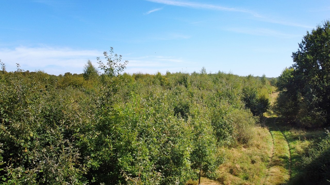 Klimawald Biosph&auml;renreservat Schaalsee // &copy; Landesforst MV