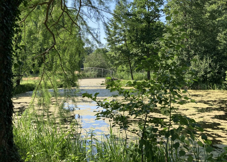 Im Schlosspark Semlow, &copy; Tourismusverein VR/Manuela Steimle