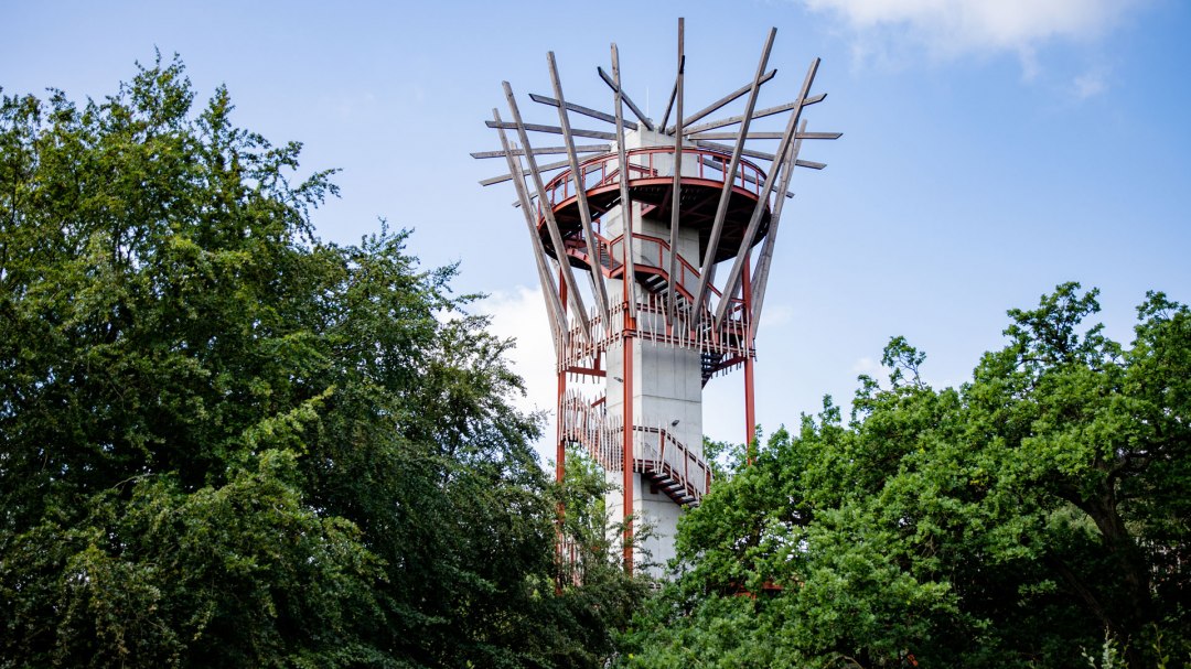 Aussichtsturm, © Landesforst MV