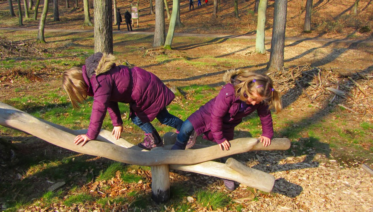 Speelelement op het avonturenpad in het bos Speelelement op het avonturenpad in het bos