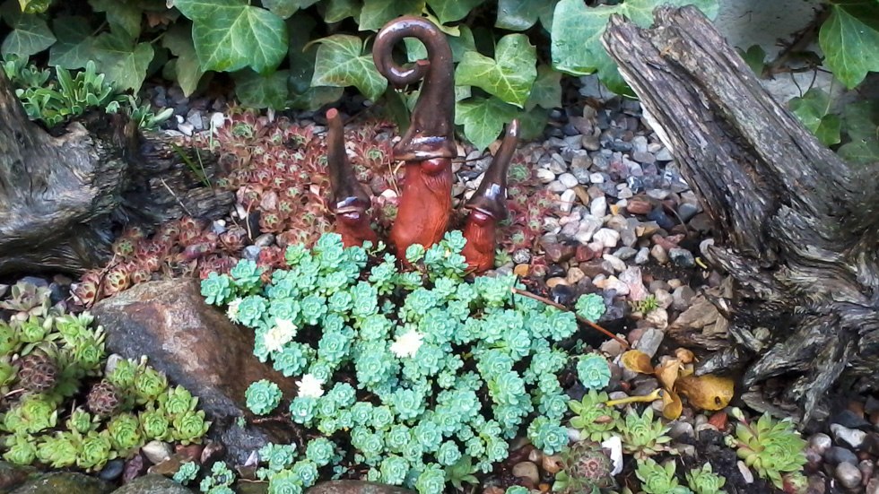 © Karola Flint © Karola Flint