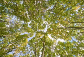 © Burwitz © Burwitz