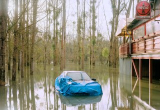 &copy; Ludwig Nikulski