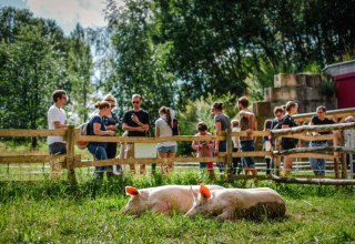 © Land der Tiere © Land der Tiere