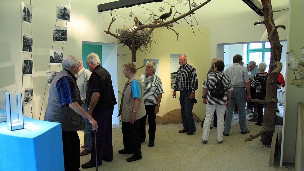 Ausstellung im Besucherinformationszentrum // © K.Paulig Ausstellung im Besucherinformationszentrum // © K.Paulig