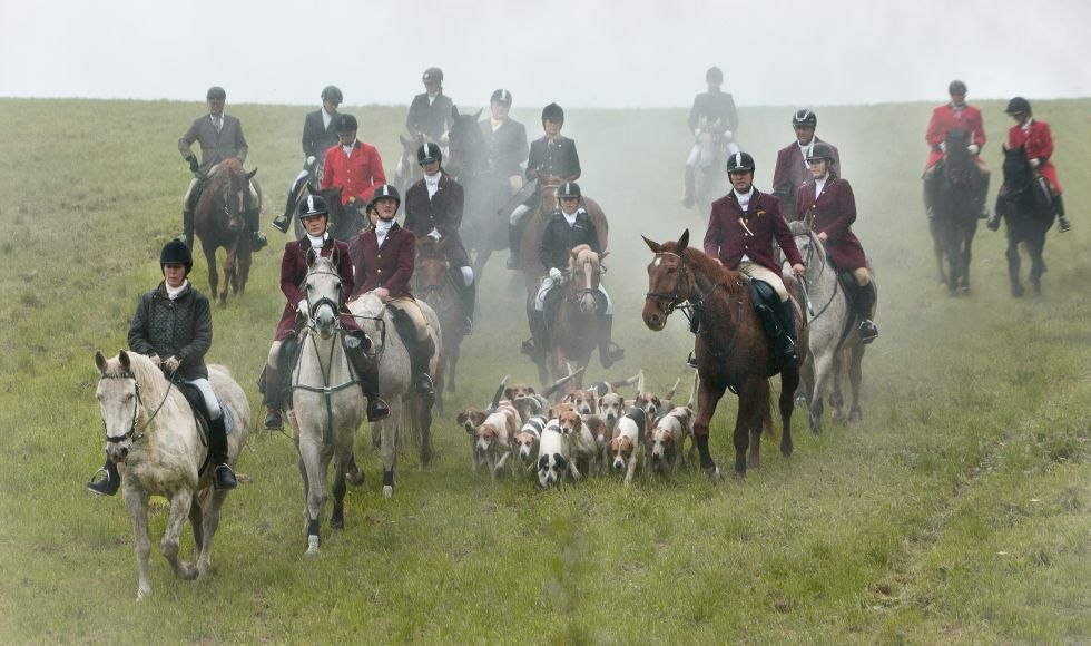 Auf Anikas Urlaubs- und Erlebnishof ein Trainingsritt mit der Nienhäger-Foxhound-Meute absolvieren // © Anikas Urlaubs- und Erlebnishof/ Markgraf Auf Anikas Urlaubs- und Erlebnishof ein Trainingsritt mit der Nienhäger-Foxhound-Meute absolvieren // © Anikas Urlaubs- und Erlebnishof/ Markgraf