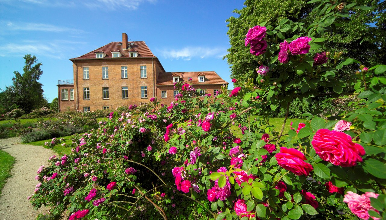 Gottin Rose Park met meer dan 2.000 rozen in meer dan 200 variëteiten, © Gutshaus Gottin Gottin Rose Park met meer dan 2.000 rozen in meer dan 200 variëteiten, © Gutshaus Gottin