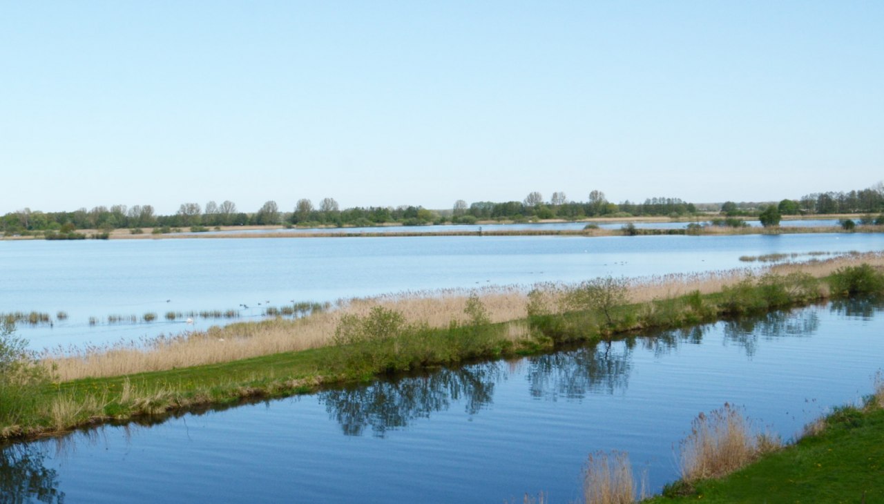 Blick auf die Fischteiche in der Lewitz, © Tourismusverband Mecklenburg-Schwerin e.V. Blick auf die Fischteiche in der Lewitz, © Tourismusverband Mecklenburg-Schwerin e.V.