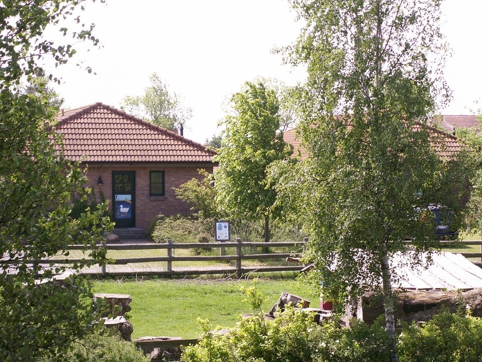 Omgeven door groen kunnen gezinnen zich losmaken van het dagelijkse leven en volop genieten van hun vakantie. // &copy; Pferdefreien Hirschburg/ Bernsteinreiter