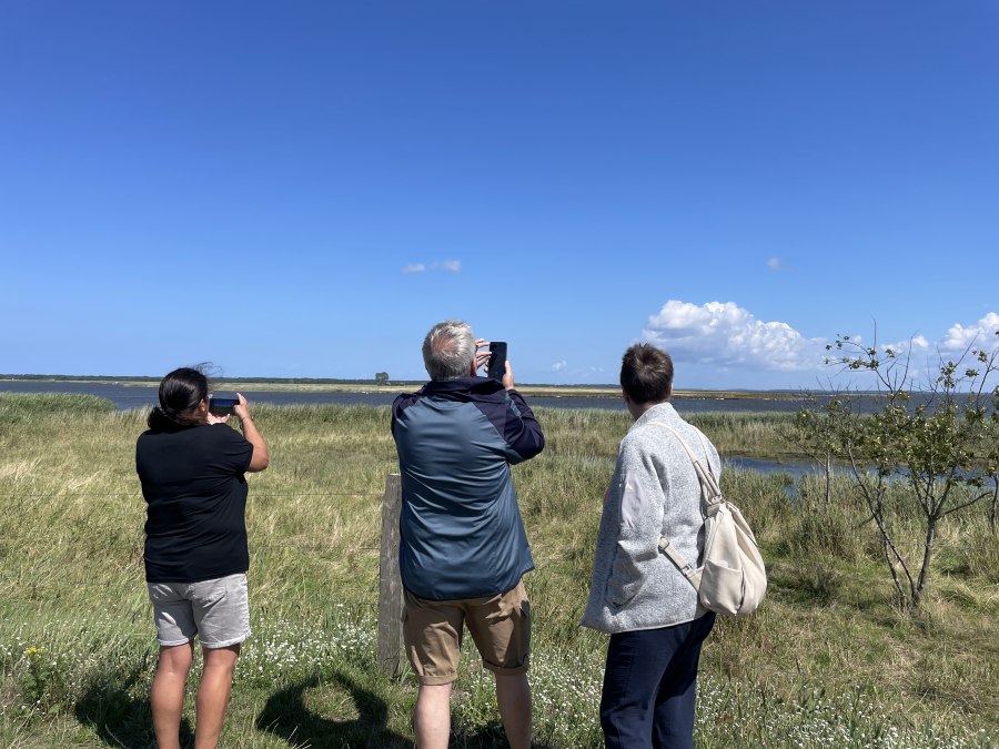 Aussicht Zur Oie Bresewitzer Polder, © TZ Südliche Boddenküste