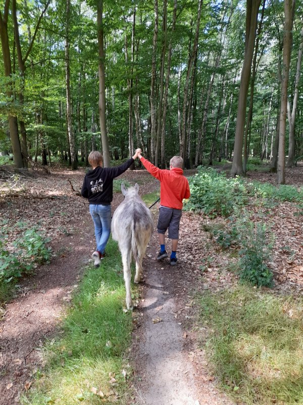 Ein Spaziergang im gemütlichen Esel- Tempo kann ein tolles Erlebnis für die ganze Familie sein. Esel sind besonnene und feinfühlige Tiere, die gerne mit menschlicher Begleitung auf Wanderschaft gehen. // © Andrea Hauser Ein Spaziergang im gemütlichen Esel- Tempo kann ein tolles Erlebnis für die ganze Familie sein. Esel sind besonnene und feinfühlige Tiere, die gerne mit menschlicher Begleitung auf Wanderschaft gehen. // © Andrea Hauser