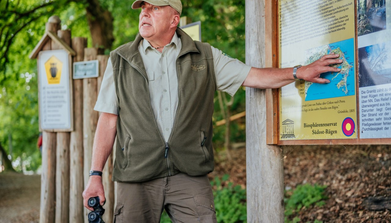 Architektur des Waldes in der Granitz, © Binzer Bucht Tourismus Architektur des Waldes in der Granitz, © Binzer Bucht Tourismus