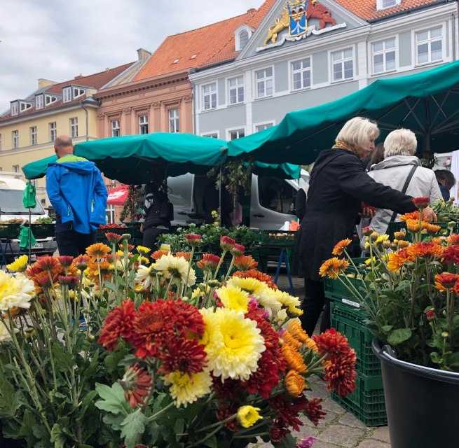 © Hansestadt Stralsund © Hansestadt Stralsund