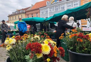 &copy; Hansestadt Stralsund