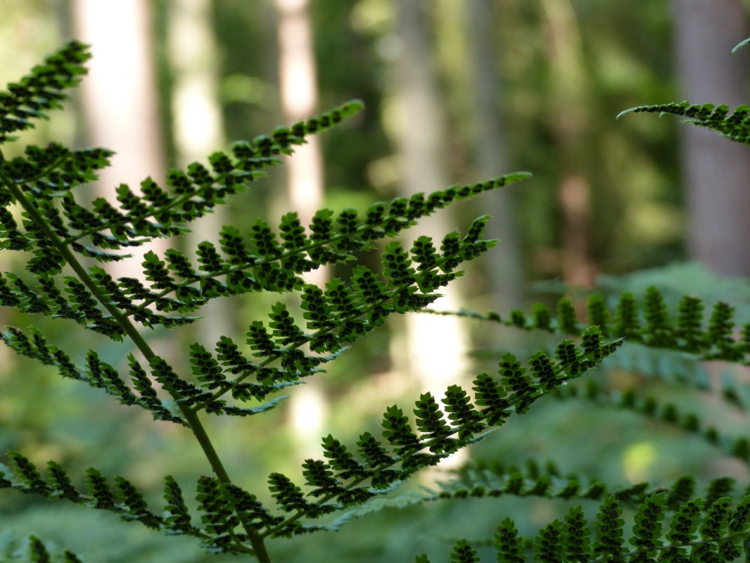 © Bianca Schubert © Bianca Schubert