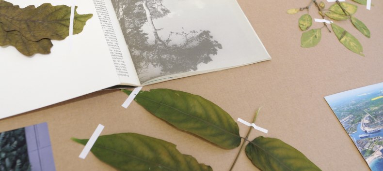 &copy; from "StonesMove. Trees Speak". Courtesy Helene Sommer