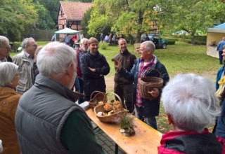 &copy; Evelin Kartheuser