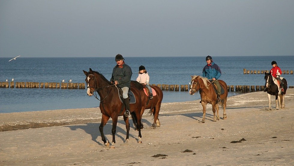 Mit dem Reit- und Ferienhof Illner können Sie Strandritte erleben // © Reit- und Feriencamp Illner/ Siegfried Illner Mit dem Reit- und Ferienhof Illner können Sie Strandritte erleben // © Reit- und Feriencamp Illner/ Siegfried Illner