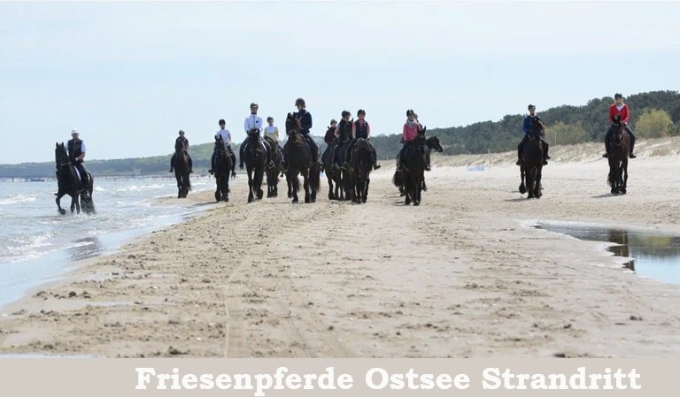 Friesenpferde Ostsee Strandritt, &copy; strandritt.jpg