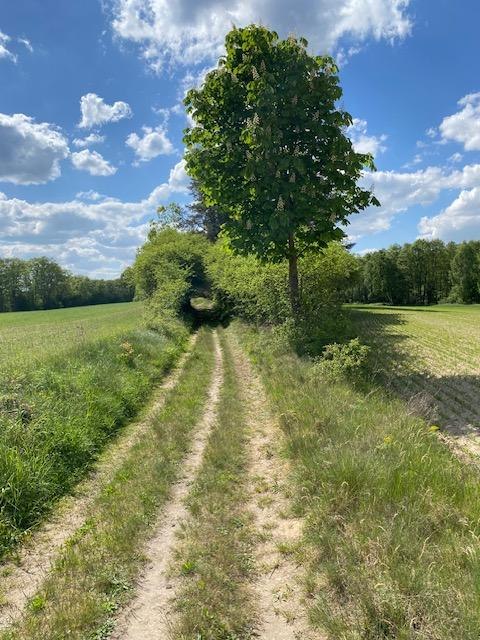 &copy; Touristinformationen Wesenberg & Mirow, Mecklenburgische Kleinseenplatte