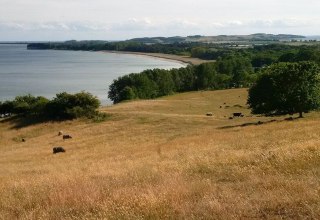 die weitl&auml;ufigen, kr&auml;uterreichen S&uuml;dh&auml;nge // &copy; R.F. Leipzig