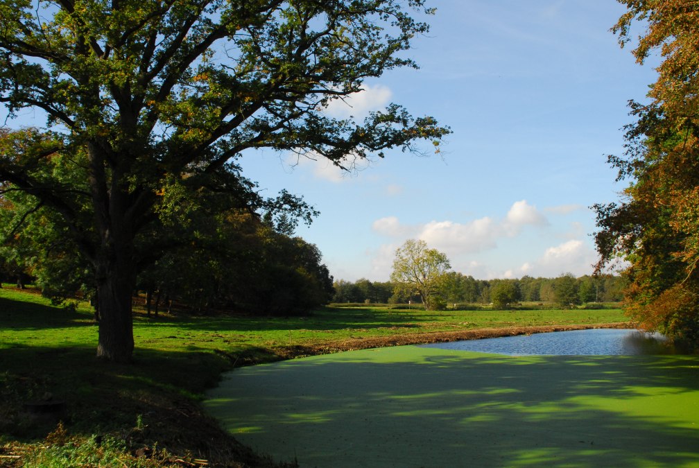 Gutspark Alt Plestlin-Teich, &copy; Friedrich Diestelmeier
