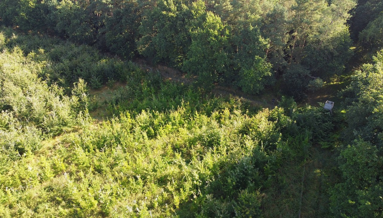 Klimawald Bad Kleinen, © Landesforst MV Klimawald Bad Kleinen, © Landesforst MV