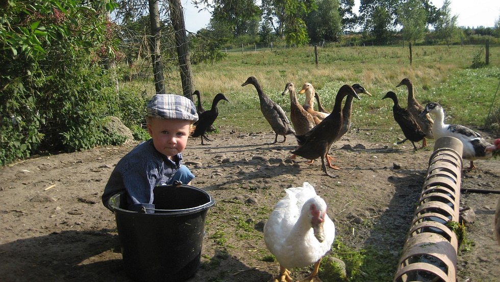 &copy; Bauernhof am Wiesengrund, Uwe Taraschewski