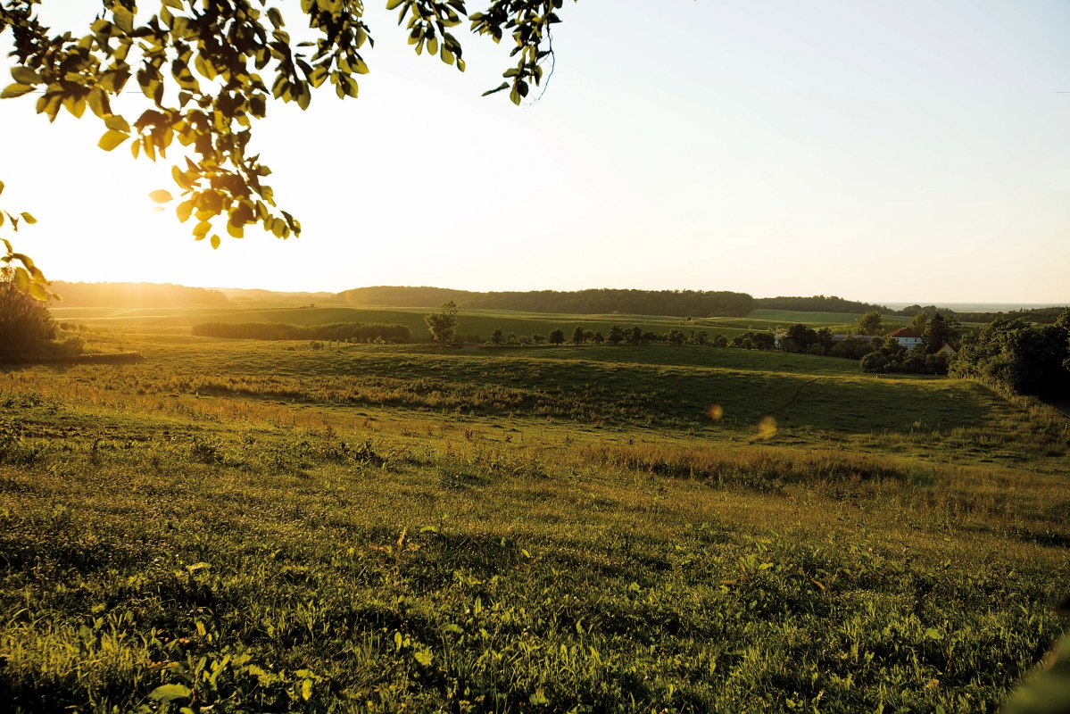 Die idyllische Landschaft Klepelshagens // &copy; Gourmet Manufaktur Gut Klepelshagen