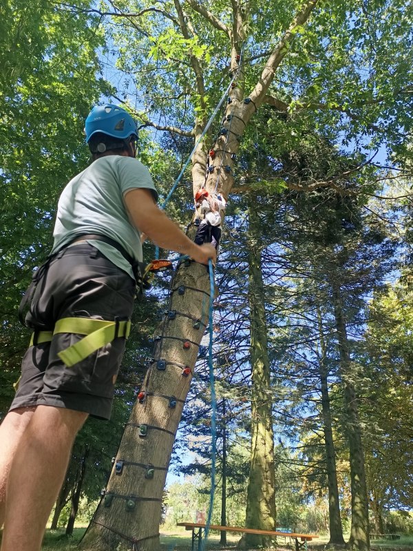 Tijdelijke boomklimmuur // &copy; Falk Zipperling