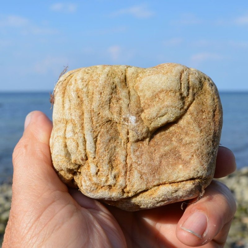 Versteinerte Wurmröhren - Skolithos-Sandstein Fossil eines der ältesten höheren Lebewesen // © GeoPark Nordisches Steinreich Versteinerte Wurmröhren - Skolithos-Sandstein Fossil eines der ältesten höheren Lebewesen // © GeoPark Nordisches Steinreich