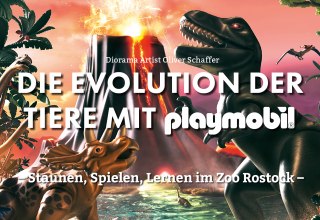 &copy; Adri&aacute;n Lim&oacute;n