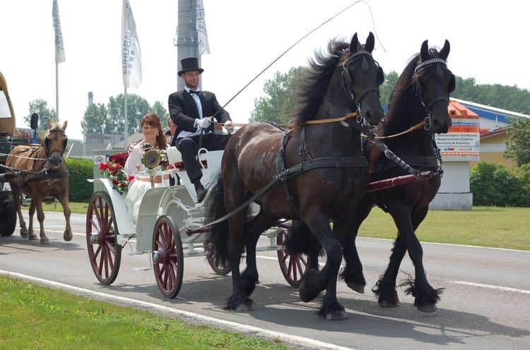 © Pferdehof Glasow © Pferdehof Glasow