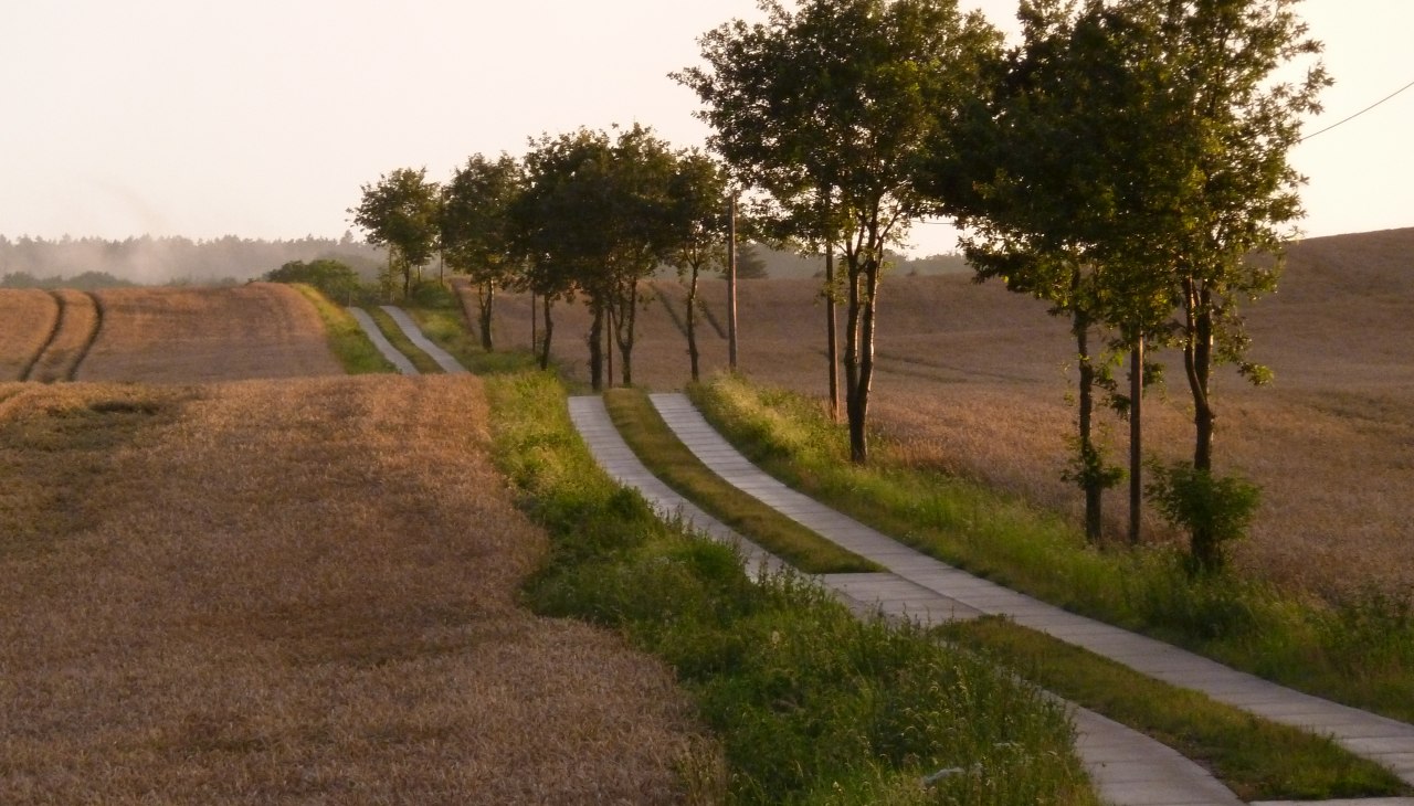 Mecklenburgische Schweiz: Weg in abendlicher Sonne, © Gutshaus Pohnstorf GbR Mecklenburgische Schweiz: Weg in abendlicher Sonne, © Gutshaus Pohnstorf GbR