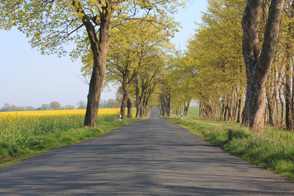 Unterwegs in Vorpommern, © Tourismusverband Vorpommern e.V. Unterwegs in Vorpommern, © Tourismusverband Vorpommern e.V.