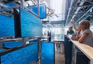Ein medial inszenierter Sardinenschwarm ist Teil der Eingangsinstallation im MEERESMUSEUM, die von drei Stockwerken aus erlebbar ist // &copy; Anke Neumeister/Deutsches Meeresmuseum