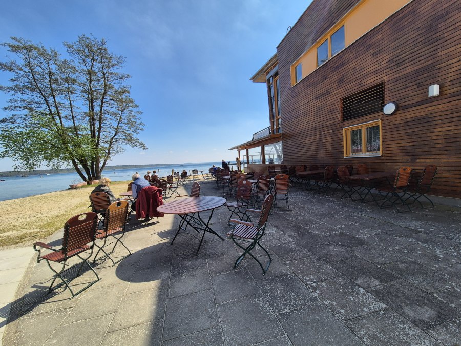 Strandläufer Klink, © Gina Schulenberg