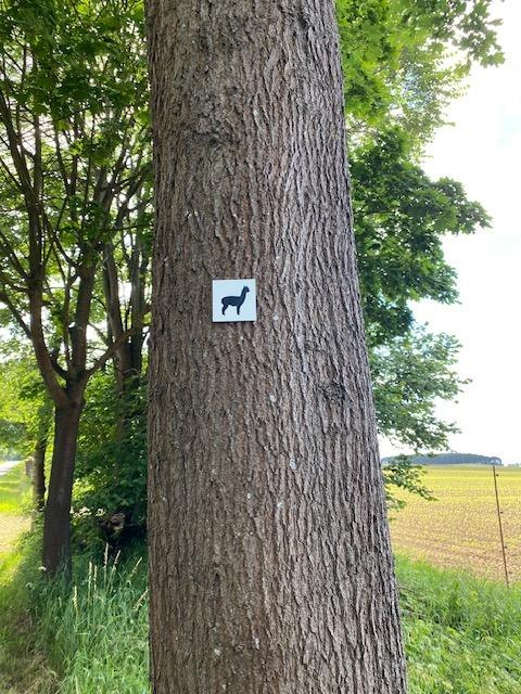 © Touristinformationen Wesenberg & Mirow, Mecklenburgische Kleinseenplatte © Touristinformationen Wesenberg & Mirow, Mecklenburgische Kleinseenplatte