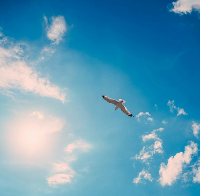 Een reis in het blauw - verrassing gegarandeerd! // © Foto von Artem Pechenkin auf Unsplash Een reis in het blauw - verrassing gegarandeerd! // © Foto von Artem Pechenkin auf Unsplash
