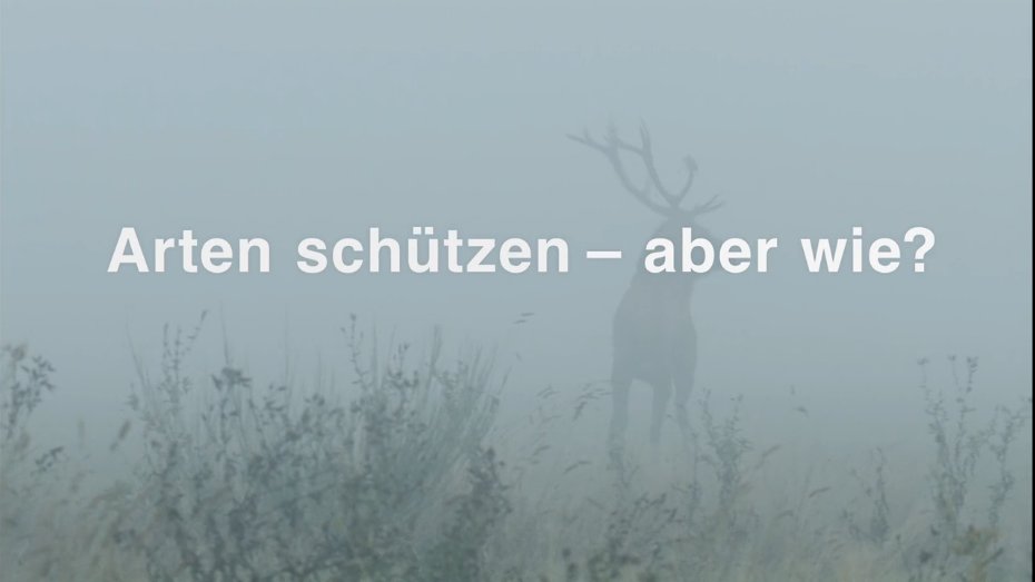 &copy; Laengengrad Filmproduktion