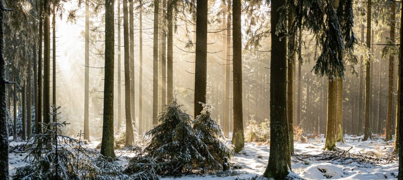 © Foto von Babette Landmesser auf Unsplash